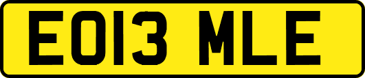 EO13MLE