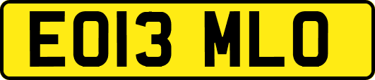 EO13MLO