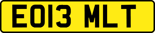 EO13MLT