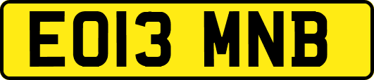 EO13MNB