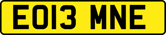 EO13MNE