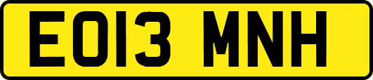EO13MNH