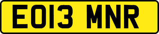 EO13MNR