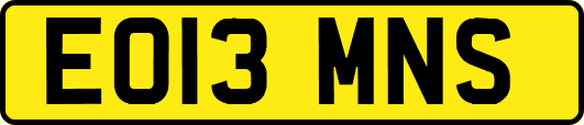 EO13MNS