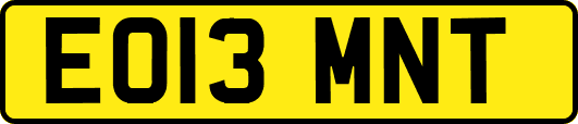 EO13MNT