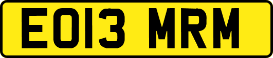 EO13MRM