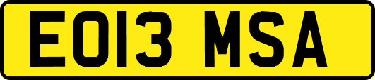 EO13MSA