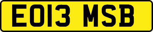 EO13MSB