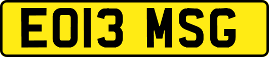 EO13MSG