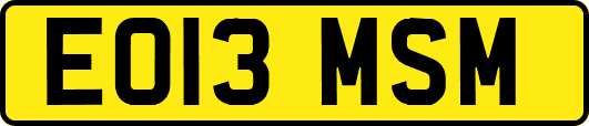 EO13MSM