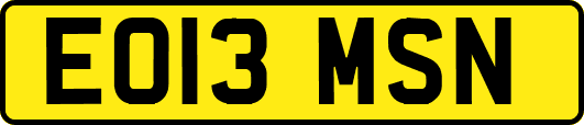 EO13MSN