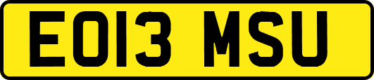 EO13MSU