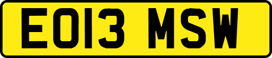 EO13MSW