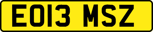 EO13MSZ