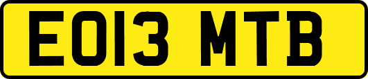 EO13MTB