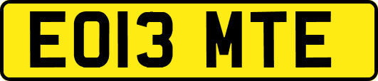 EO13MTE