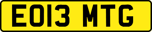 EO13MTG