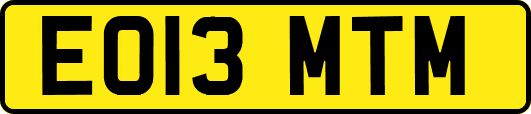 EO13MTM