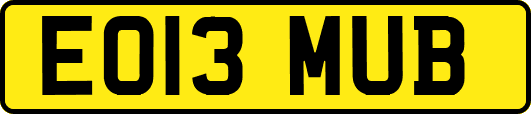 EO13MUB