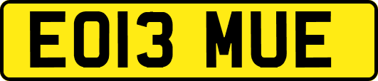 EO13MUE