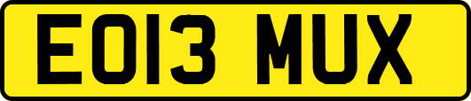 EO13MUX