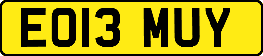 EO13MUY