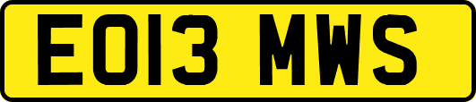 EO13MWS