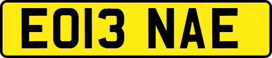 EO13NAE