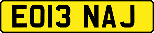 EO13NAJ