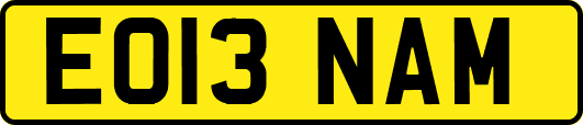 EO13NAM