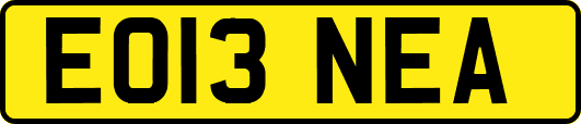 EO13NEA
