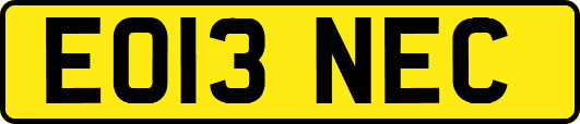 EO13NEC