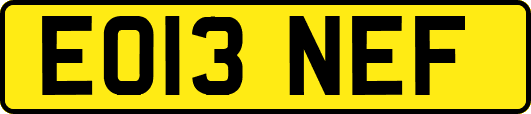 EO13NEF