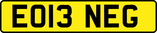 EO13NEG