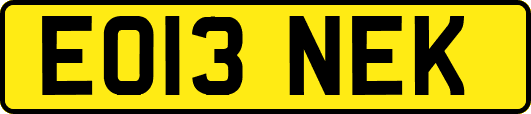 EO13NEK
