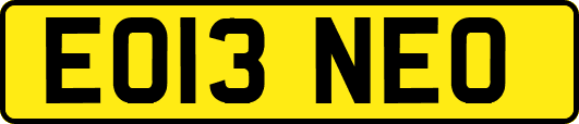 EO13NEO