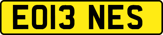 EO13NES