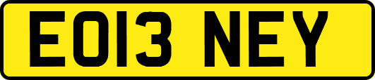 EO13NEY
