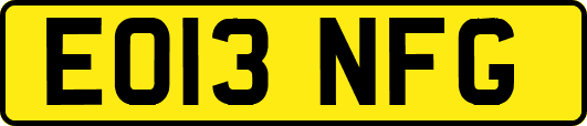 EO13NFG