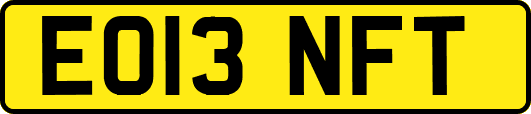 EO13NFT