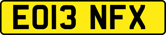 EO13NFX