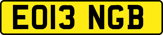 EO13NGB