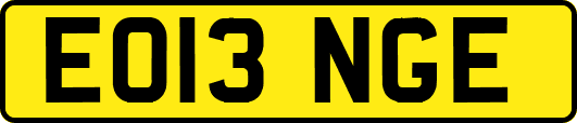 EO13NGE