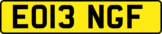 EO13NGF