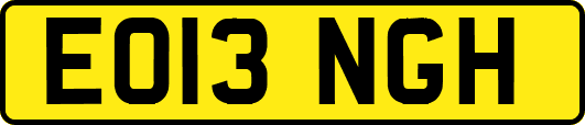 EO13NGH