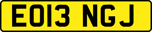 EO13NGJ