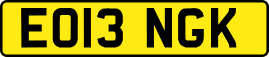 EO13NGK