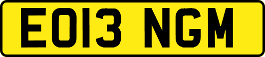 EO13NGM
