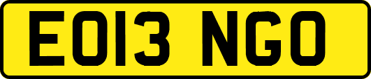 EO13NGO