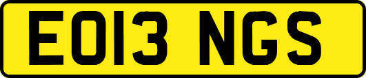 EO13NGS
